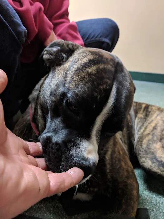 Sparta Road Veterinary Clinic Picture 7