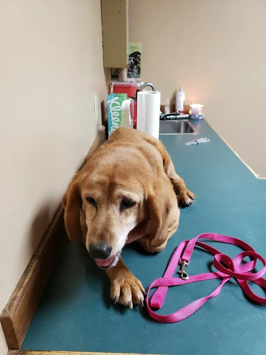 Sparta Road Veterinary Clinic Picture 10