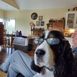 Woodbury Veterinary Hospital