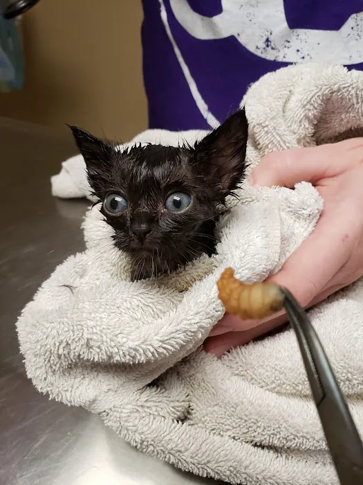 Woodbury Veterinary Hospital Picture 10