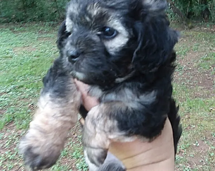 Cannon County Animal Clinic Picture 2