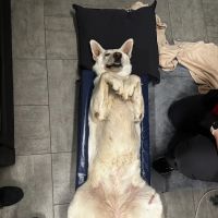 Cannon County Animal Clinic ico