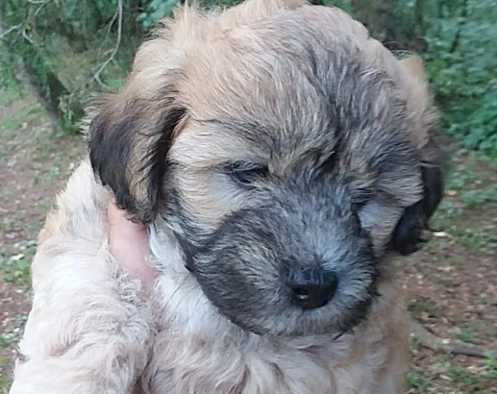 Cannon County Animal Clinic Picture 4