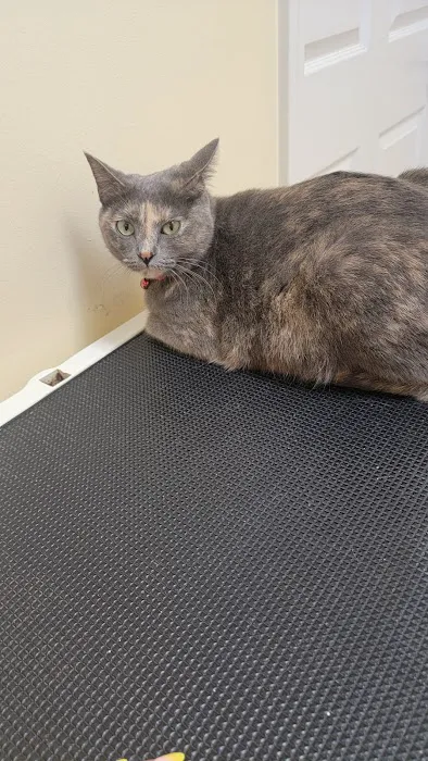 Cannon County Animal Clinic Picture 9