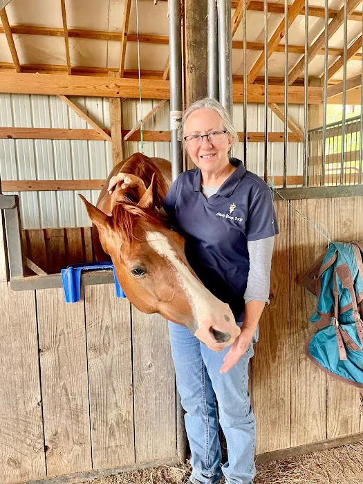 Valley View Veterinary Services Picture 7