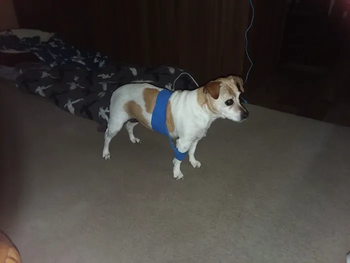 Kirk Veterinary Clinic Picture 1