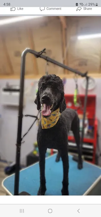 Kirk Veterinary Clinic Picture 4