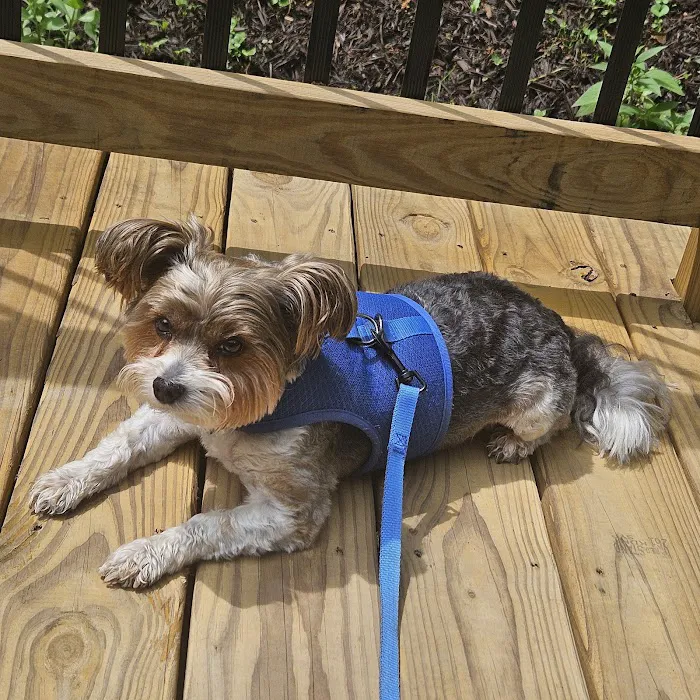 Kirk Veterinary Clinic Picture 6