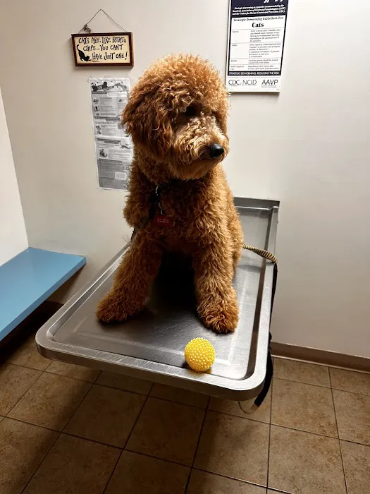 Blooming Prairie Veterinary Clinic Picture 1