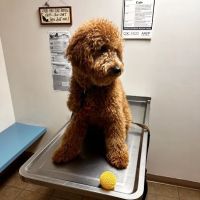 Blooming Prairie Veterinary Clinic ico