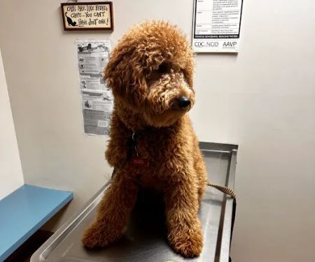 Blooming Prairie Veterinary Clinic