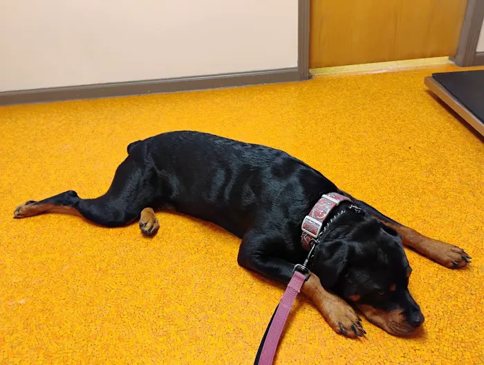 Osseo Veterinary Clinic Picture 6