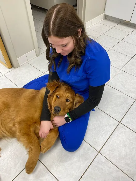 K-M Regional Veterinary Hospital Picture 9