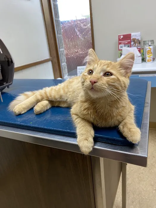 Heritage Pet Hospital Picture 1