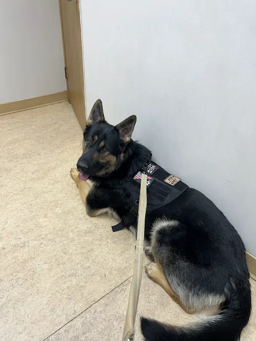 Heritage Pet Hospital Picture 6