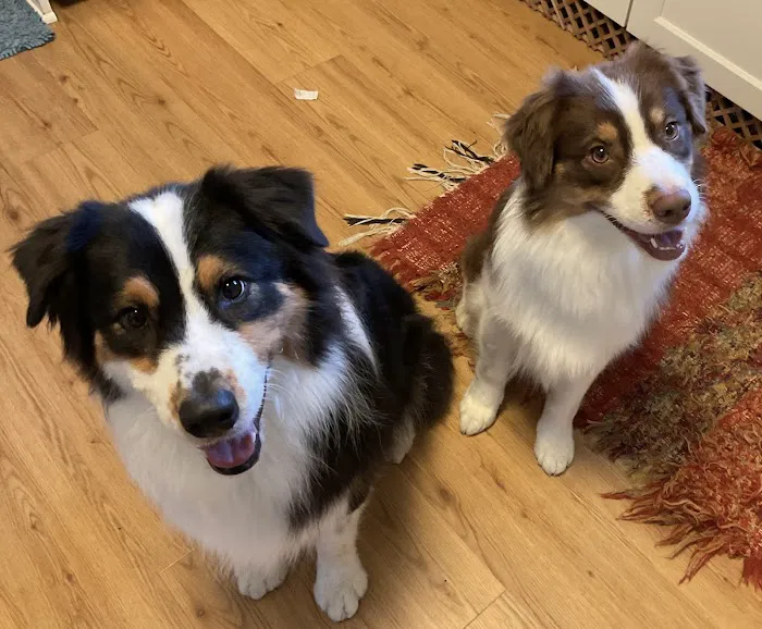 Heritage Pet Hospital Picture 5