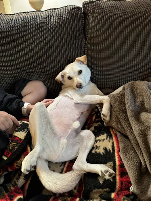 Heritage Pet Hospital Picture 8
