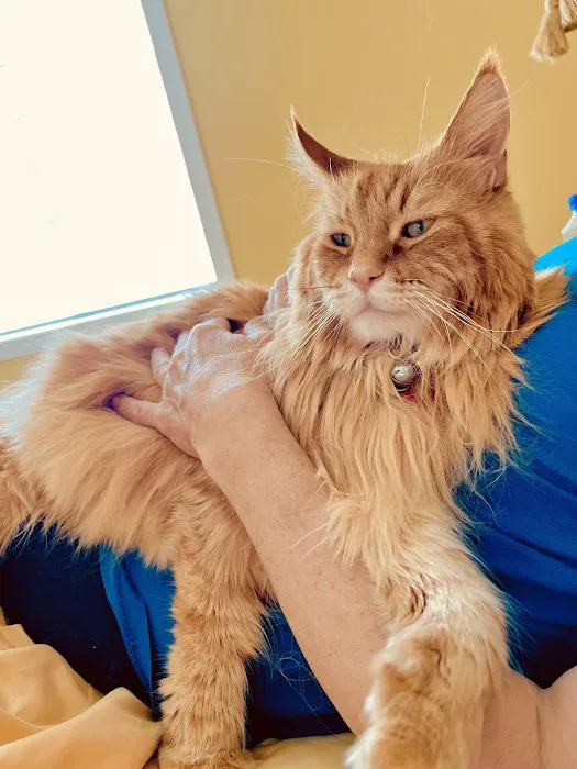Heritage Pet Hospital Picture 7