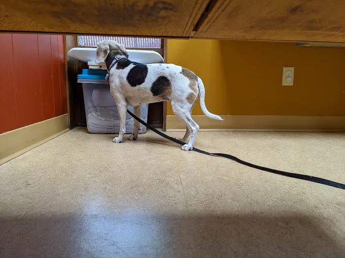 Heritage Pet Hospital Picture 10
