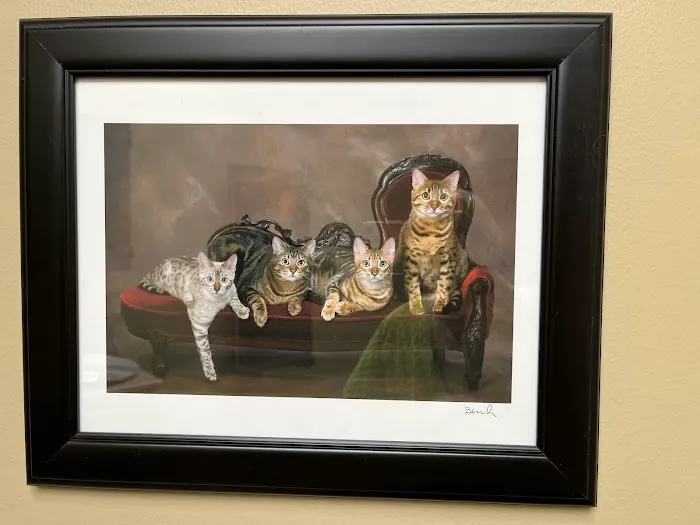 Quarry Hill Park Animal Hospital Picture 4