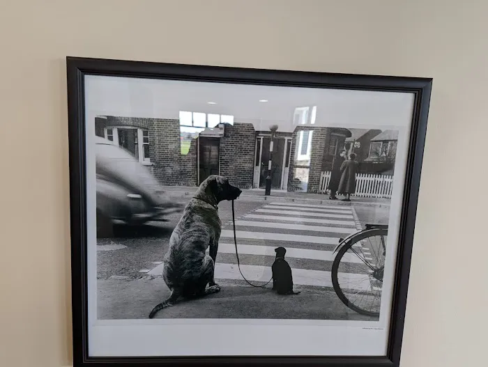 Quarry Hill Park Animal Hospital Picture 2