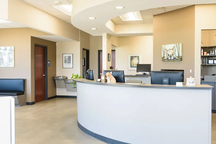 Quarry Hill Park Animal Hospital Picture 10