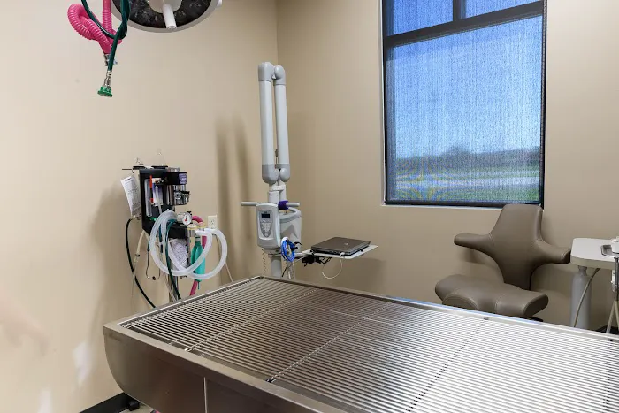 Quarry Hill Park Animal Hospital Picture 8