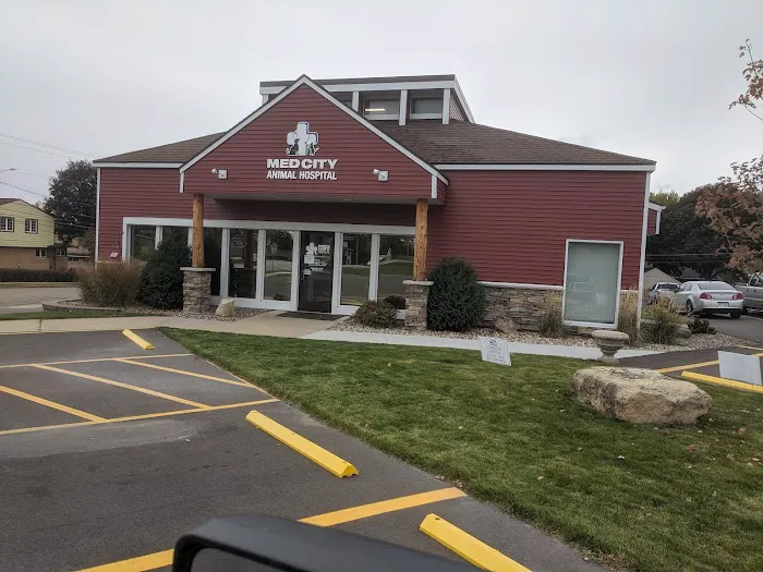 Med City Animal Hospital Picture 4