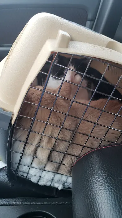 Med City Animal Hospital Picture 1