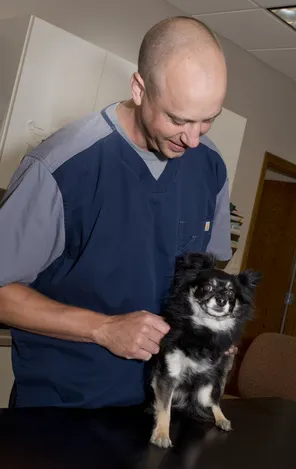 St. Charles Veterinary Clinic Picture 5