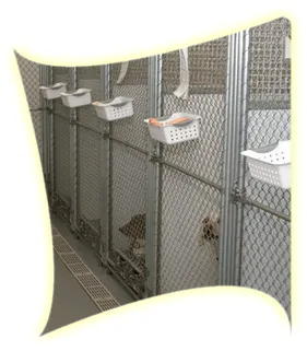 St. Charles Veterinary Clinic Picture 6