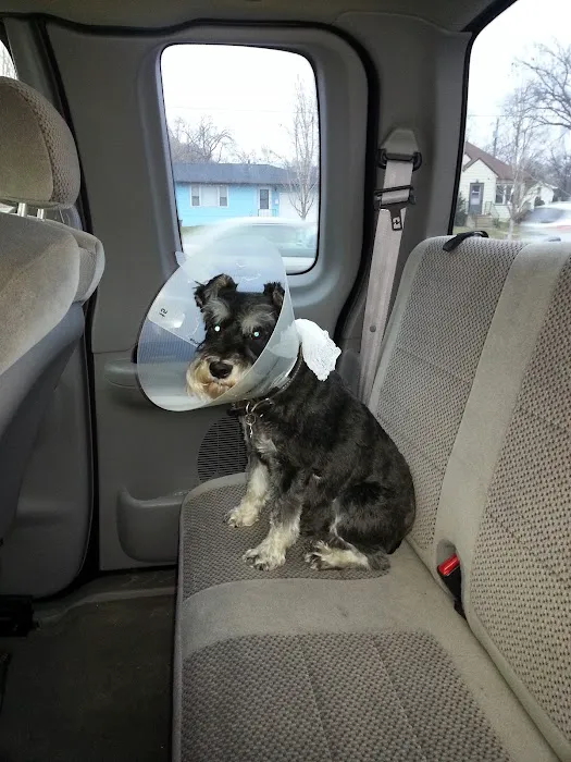 Animal Health Care Veterinary Hospital Picture 10