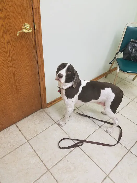 Dodge Veterinary Clinic Picture 3