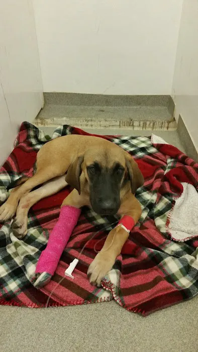 Dodge Veterinary Clinic Picture 5