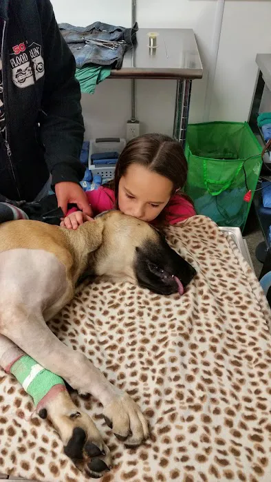 Dodge Veterinary Clinic Picture 4