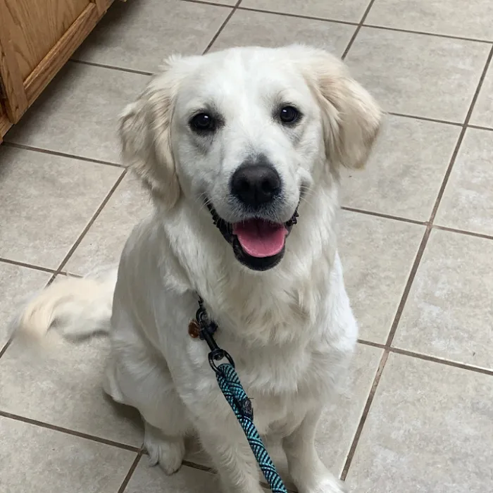 Broadway Veterinary Hospital Picture 8