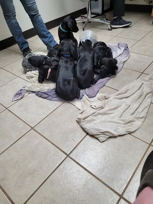 Broadway Veterinary Hospital Picture 5