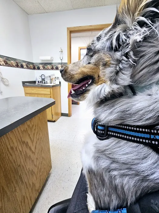 Long Prairie Veterinary Clinic Picture 1