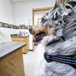 Long Prairie Veterinary Clinic