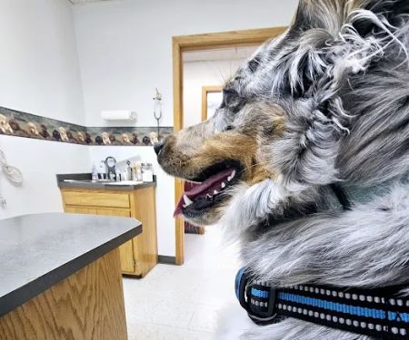 Long Prairie Veterinary Clinic