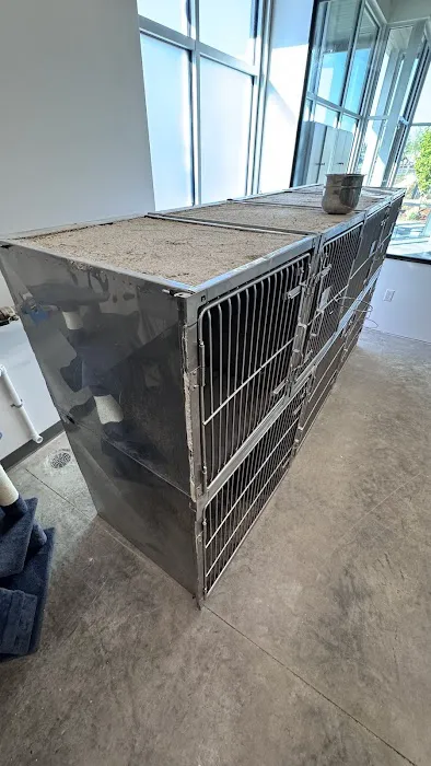 RAD Pets Affordable Surgery Ctr Picture 2