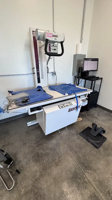RAD Pets Affordable Surgery Ctr Picture 7