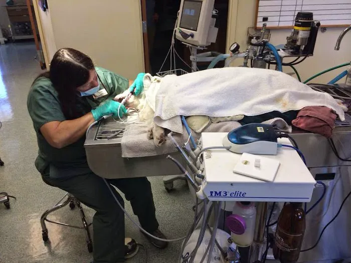 West Hills Animal Hospital Picture 5