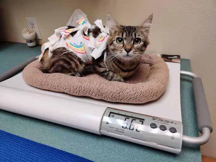 West Hills Animal Hospital Picture 2