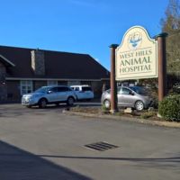 West Hills Animal Hospital ico