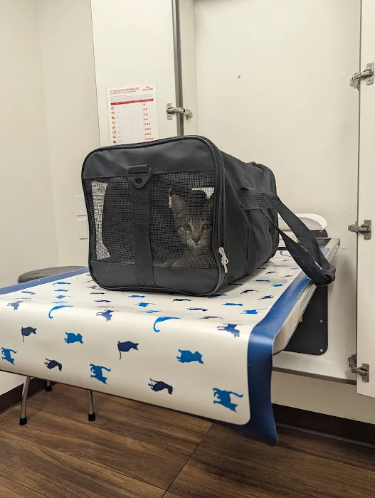 VCA Delta Oaks Animal Hospital Picture 4