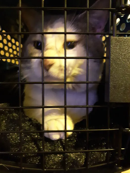 Willamette Animal Guild (WAG) Spay/Neuter & Wellness Clinic Picture 10