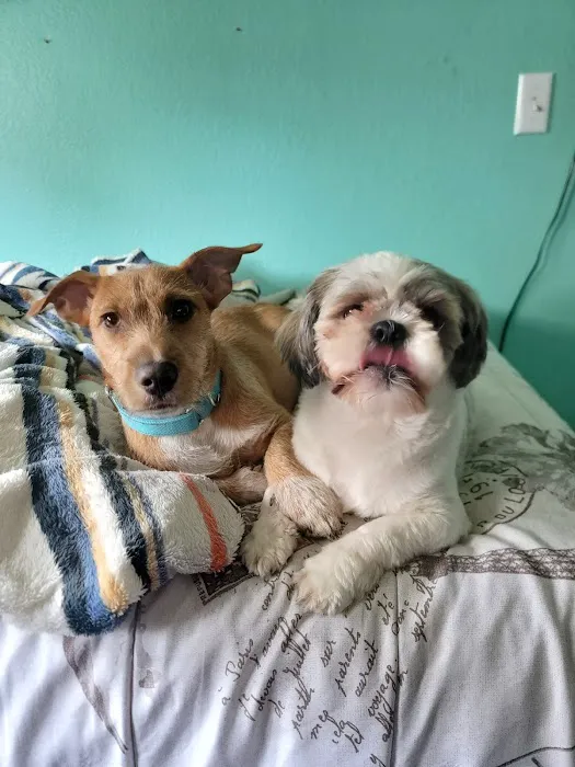 Banfield Pet Hospital Picture 2