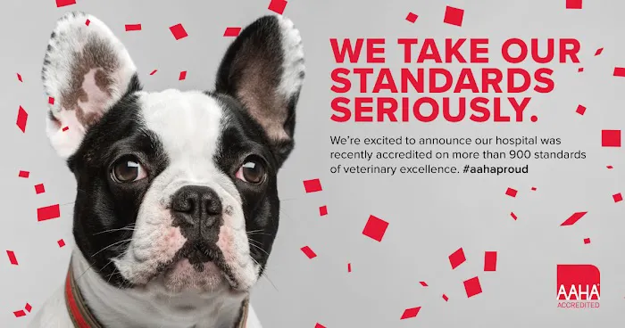 Pawsitive Wellness Veterinary Care LLC Picture 4