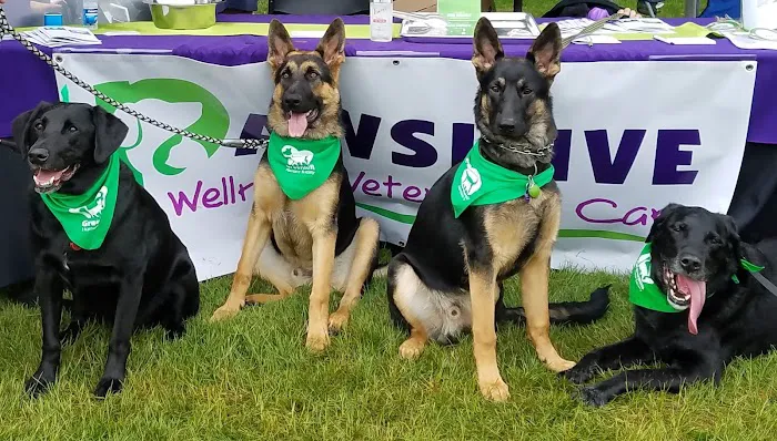 Pawsitive Wellness Veterinary Care LLC Picture 9